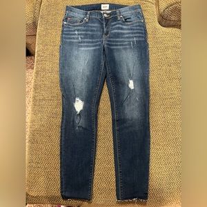 NWOT Hudson Krista Super Skinny Raw Hem Denim Size 29